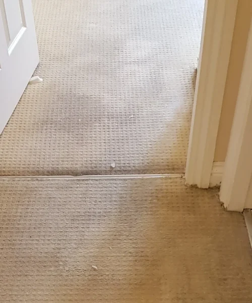 carpet cleaning berfore